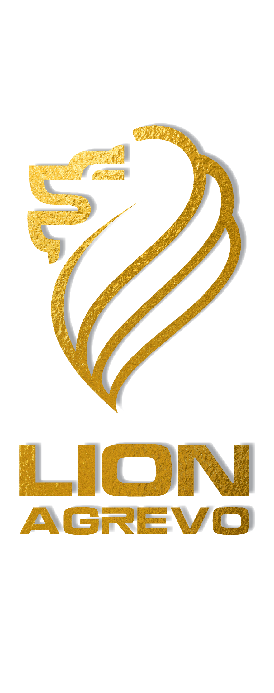 Logo 3