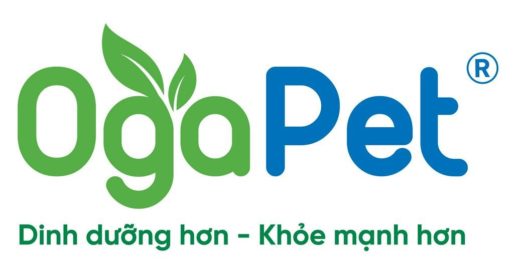 Logo 6